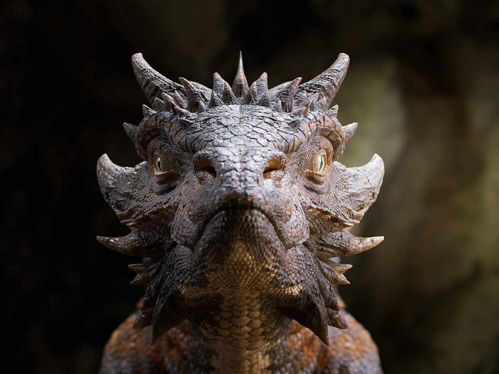 headStills_1002