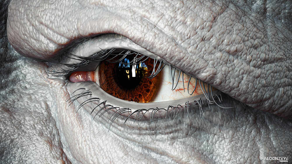 Prabhupada_Eye_Closeup_2