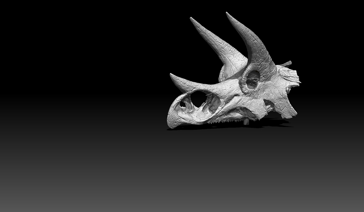 12-Detailing vs Bones WIP2_© Javid Jooshesh