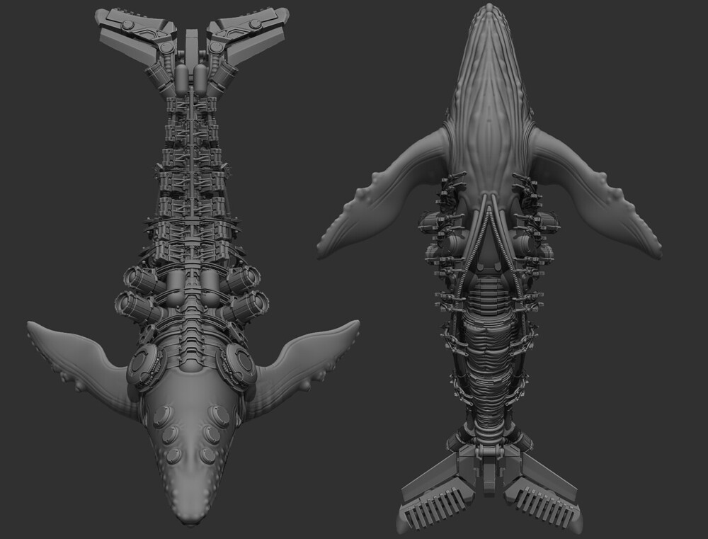 scott-shepherd-oceanix-whale-4