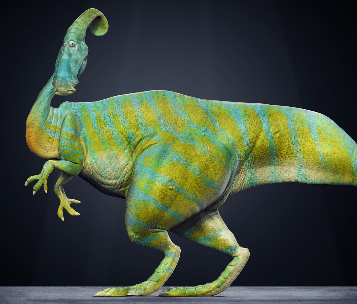 dinocolor_small.jpg