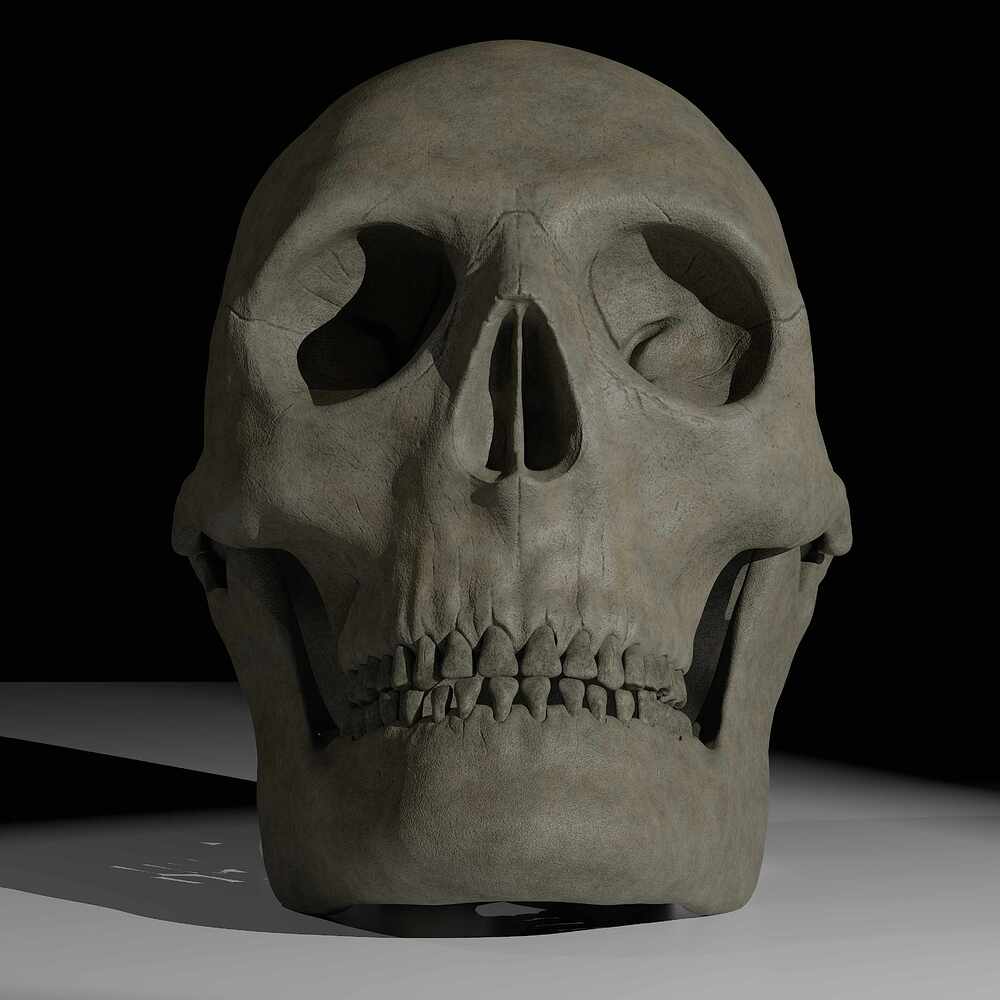 skull_new_1