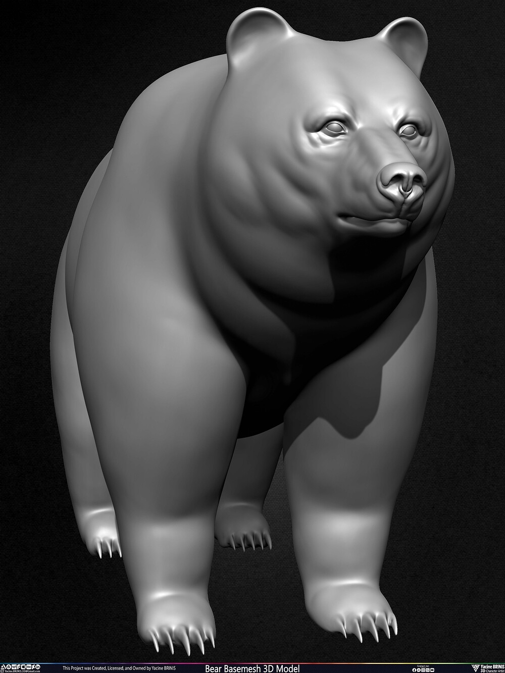 Bear Basemesh 3D Model Sculpted by Yacine BRINIS Set 009
