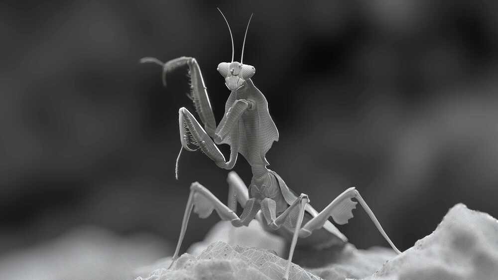 leaf_mantis_art_render_v04_comp_clay