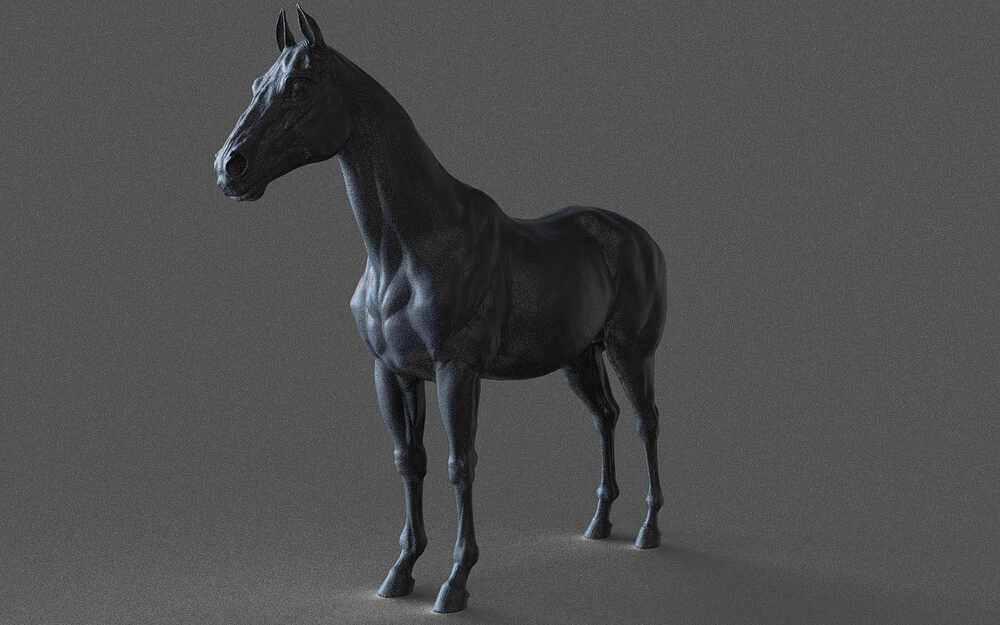 Horse_8