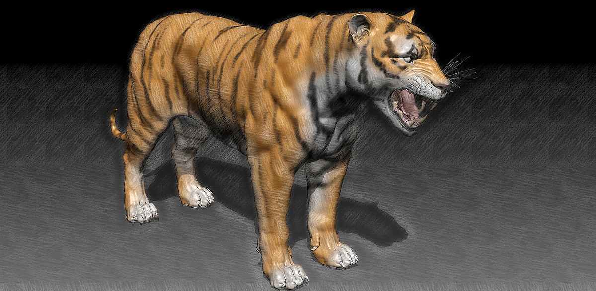 tiger9