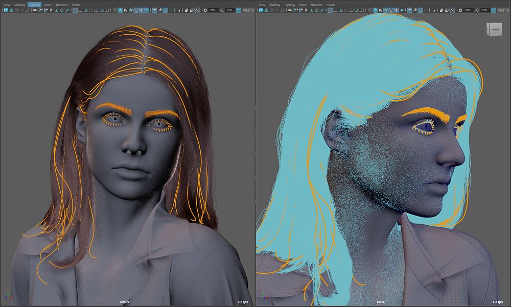 viewport
