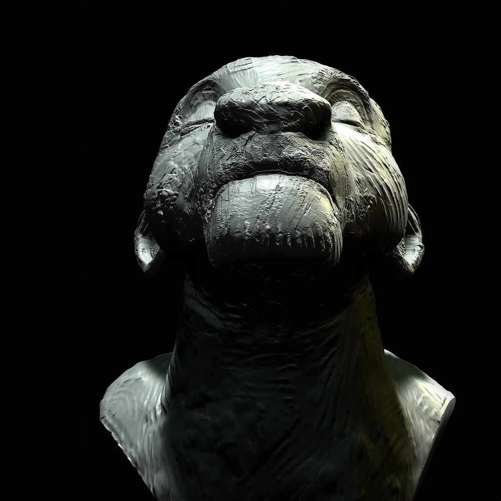 Sarabi_Bpr_004