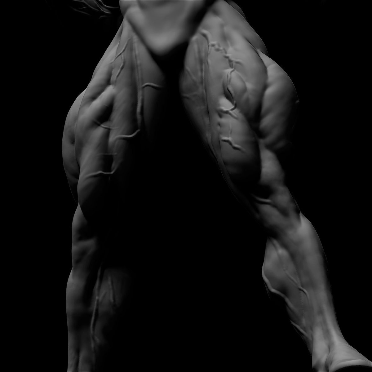 Anatomía 4