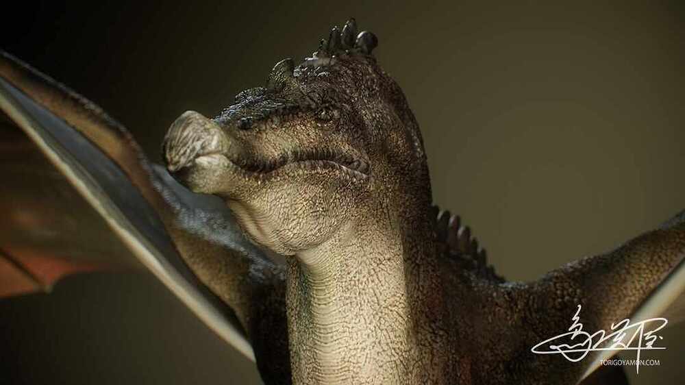 Dragon_img002