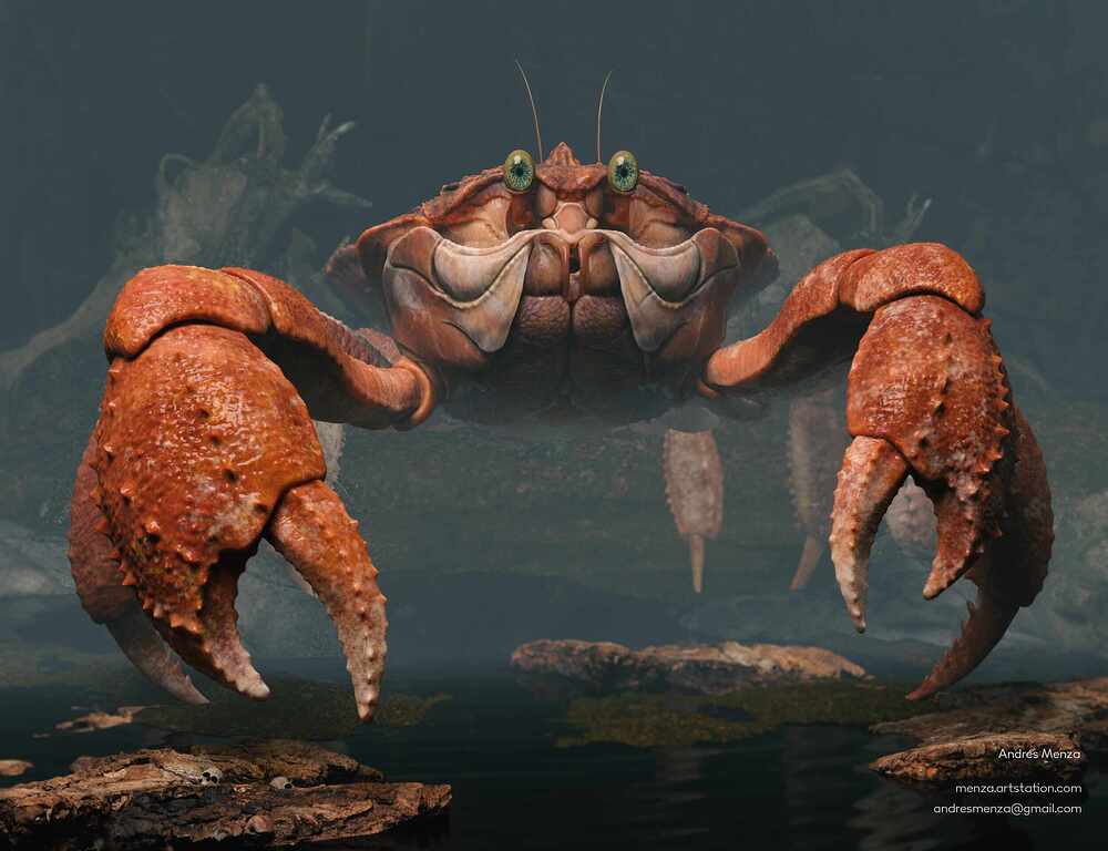 Crab_final_00