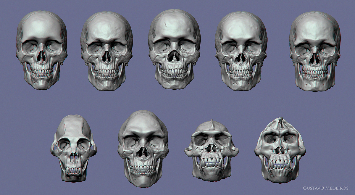 ZBrush Document2