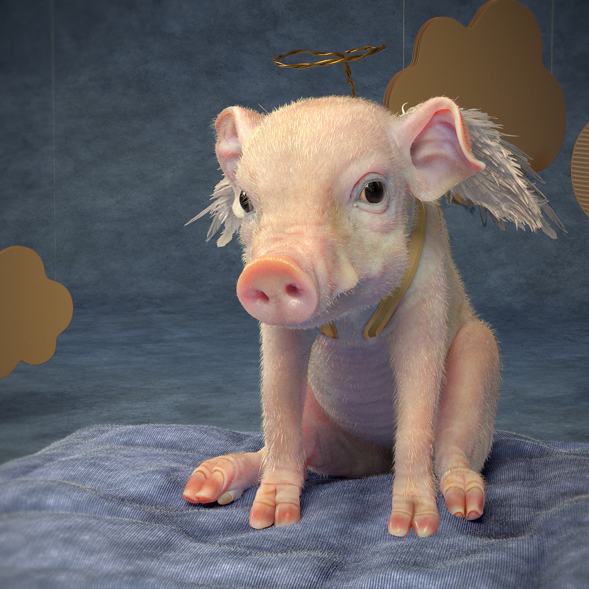 LittlePig_1.0002