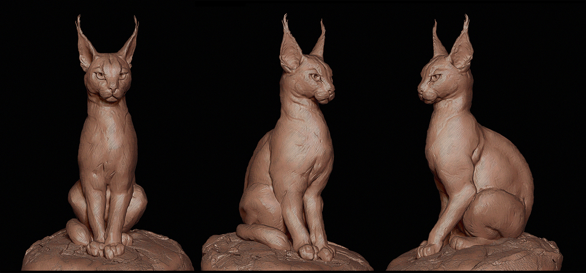 Caracal%20NPR