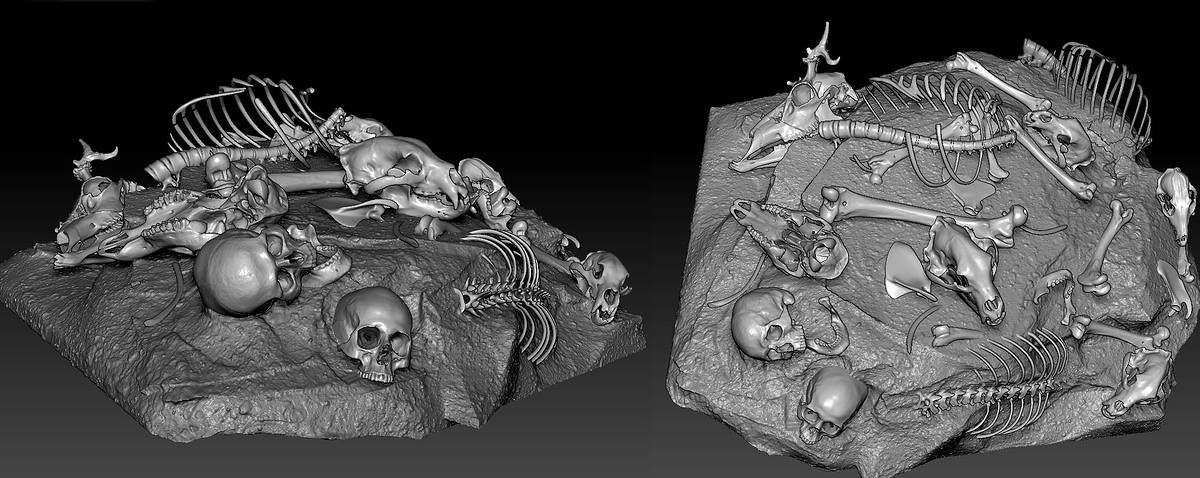 bones