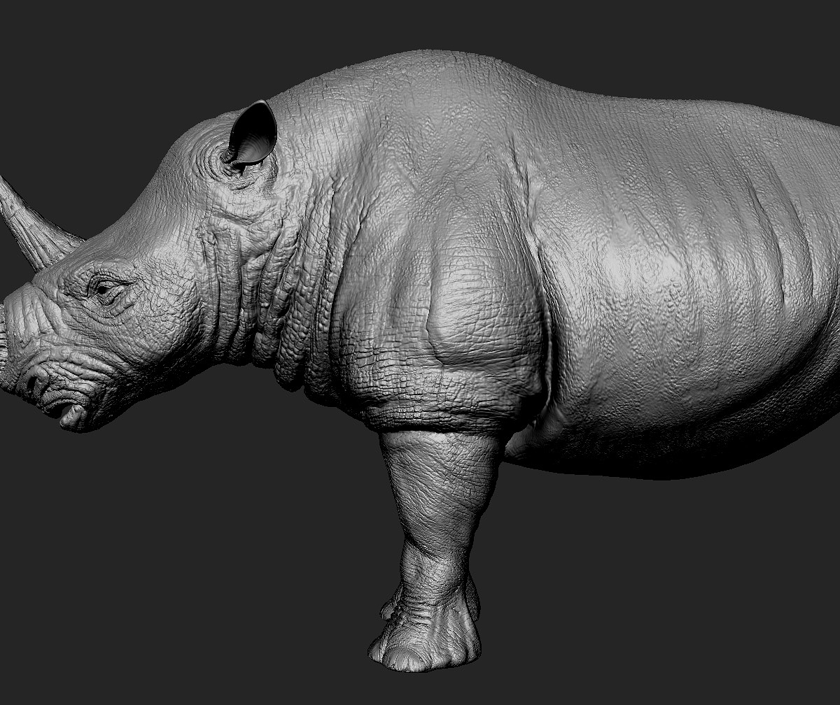 rhinoSculpt1.jpg