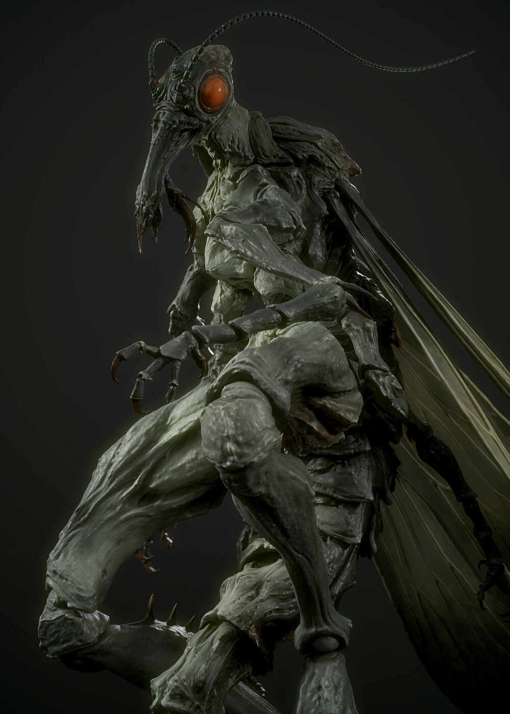 PJ009