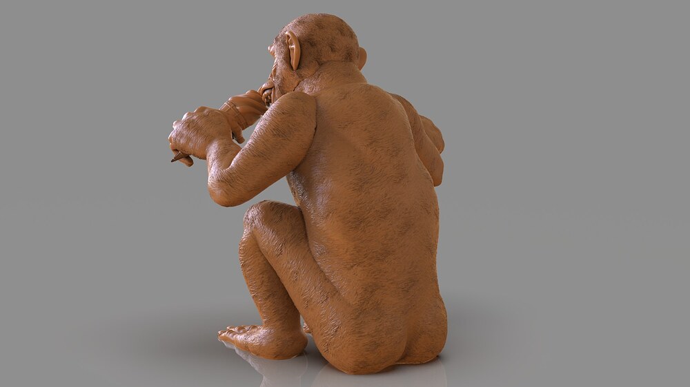 595862094_1233545428586888_8024041873322168135_n