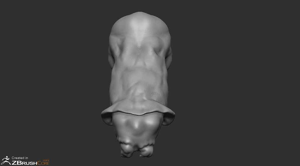 SocketPuppet2