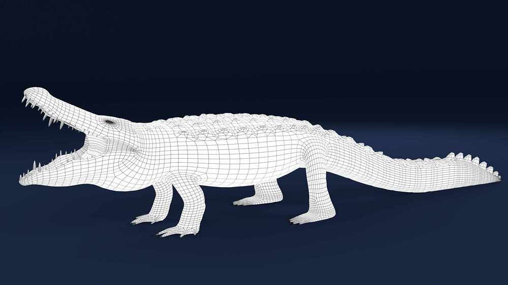 crocodilemaya6