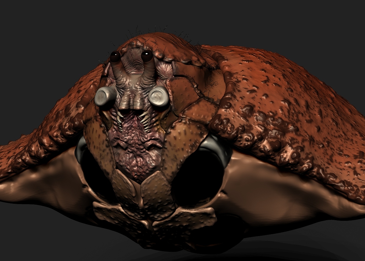 Crab7.jpg