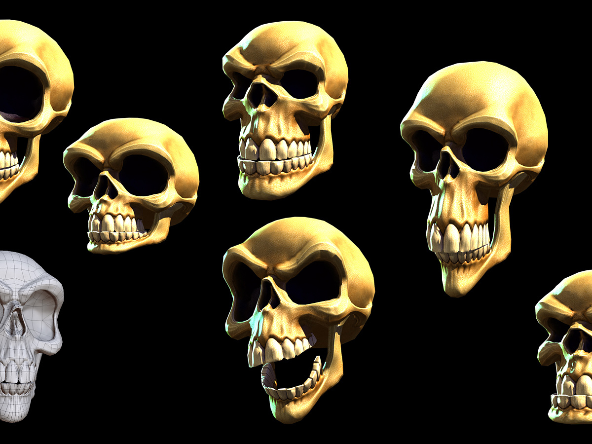 Skull04.jpg