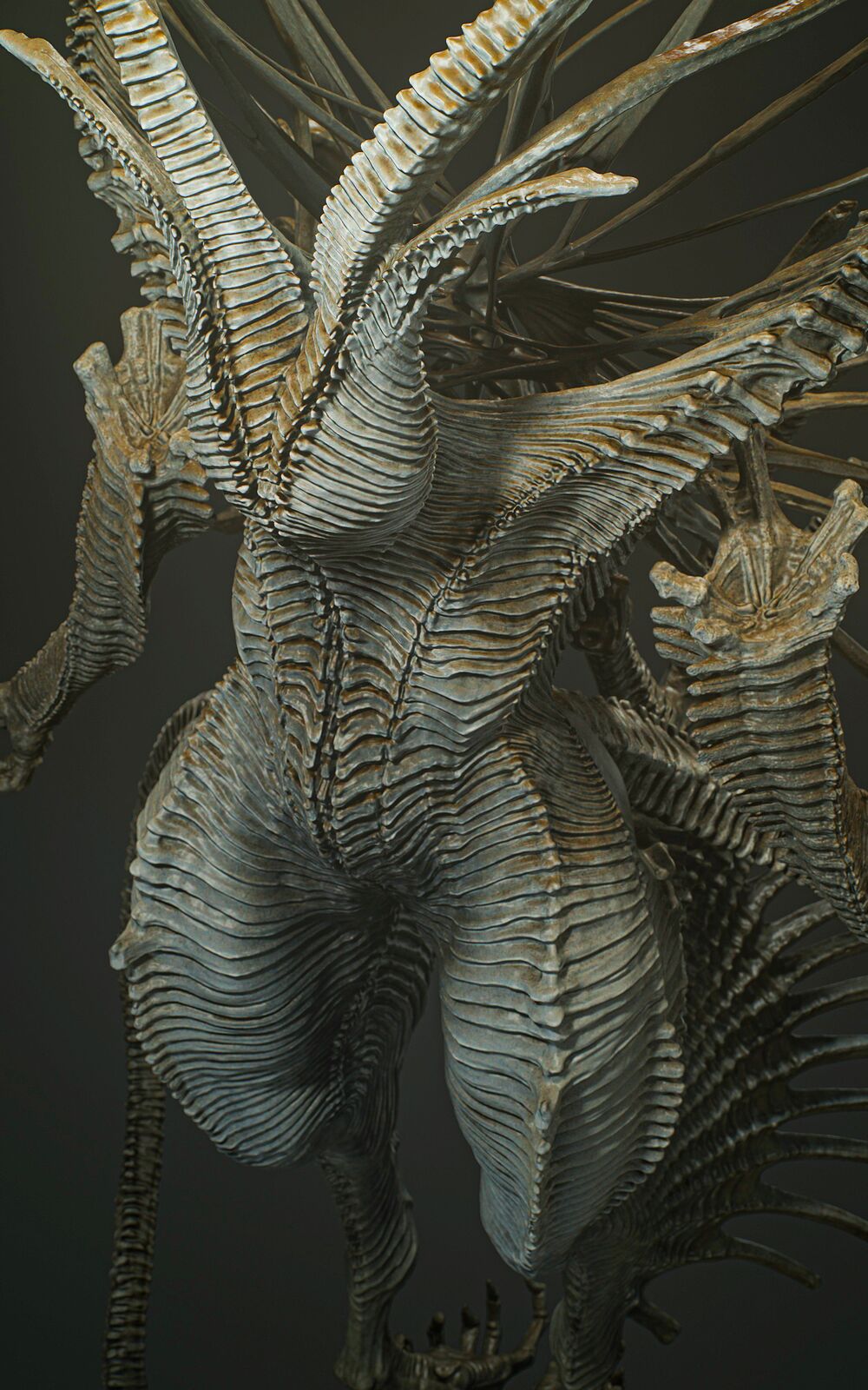 Partially2_Cold_Symmetry_0017