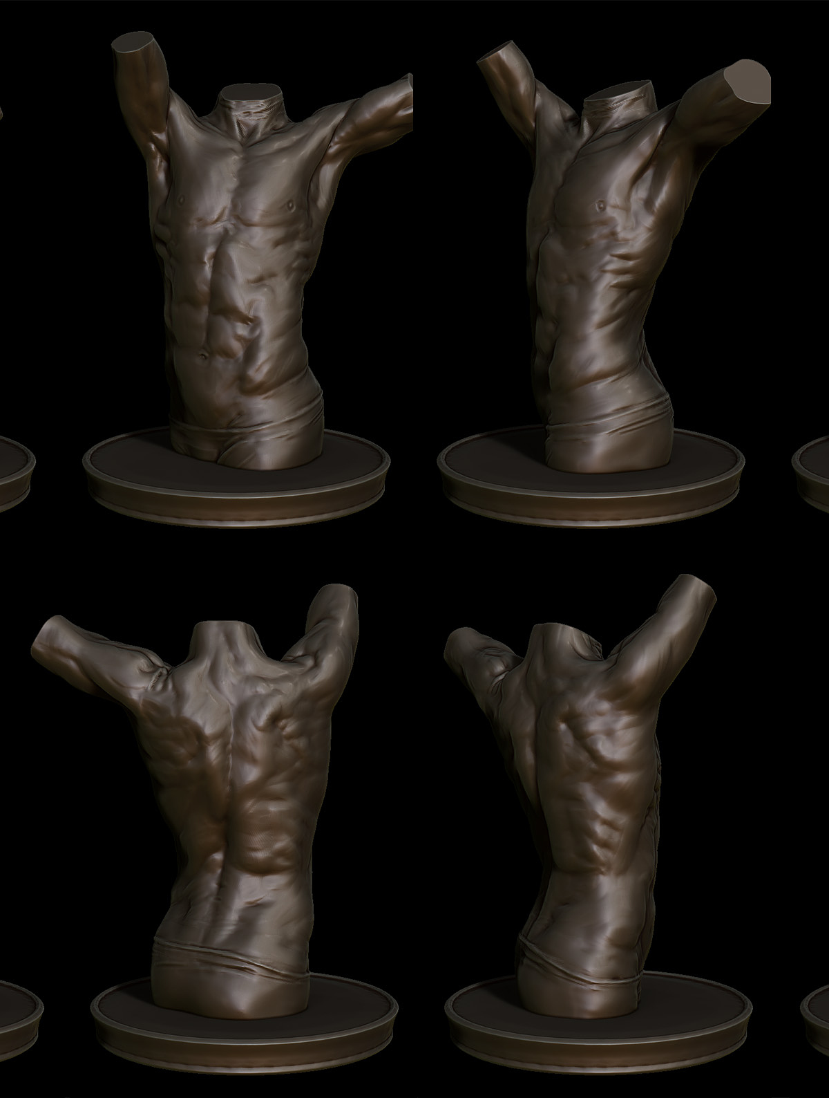MaleTorso_Sheet2.jpg