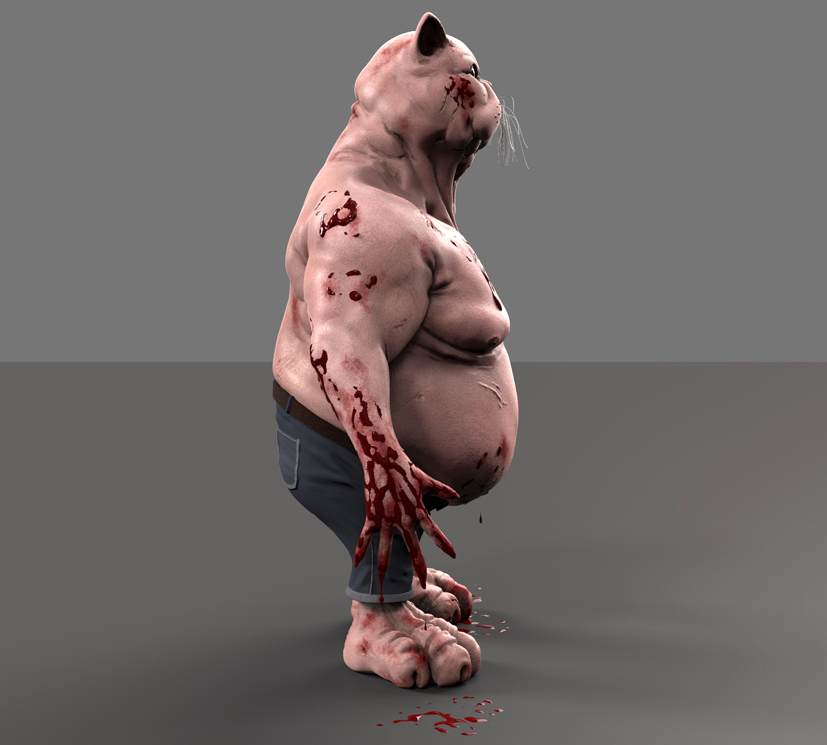 Chat boxer final 3.jpg