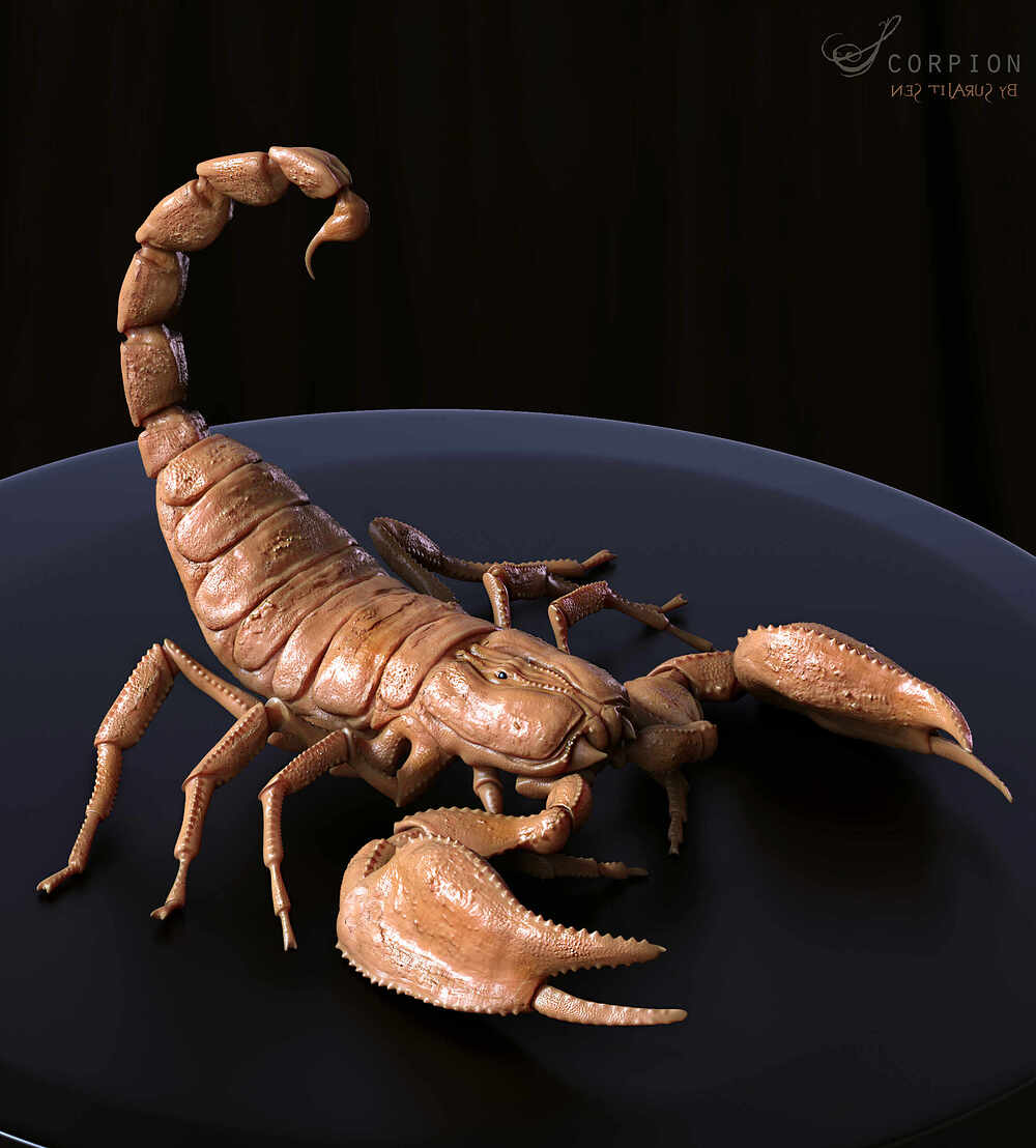 Scorpion_Digital_Sculpture_SurajitSen_Aug2023
