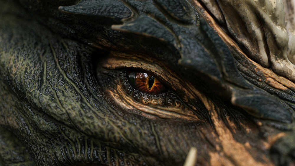 Closeup