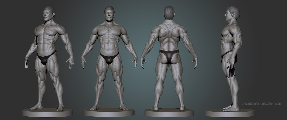 Anatomy_all_Side