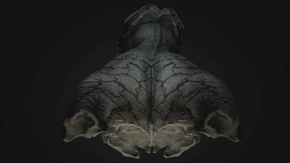 predator_back