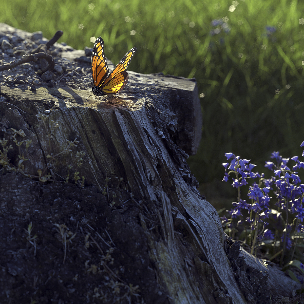 beauty1_v002_crop