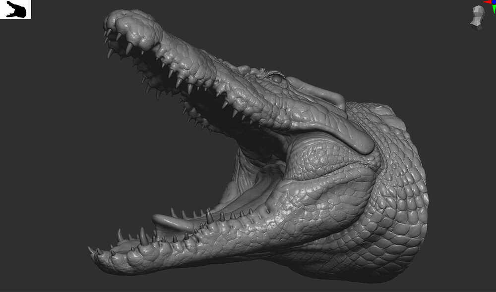 charCrocodile_sc_001