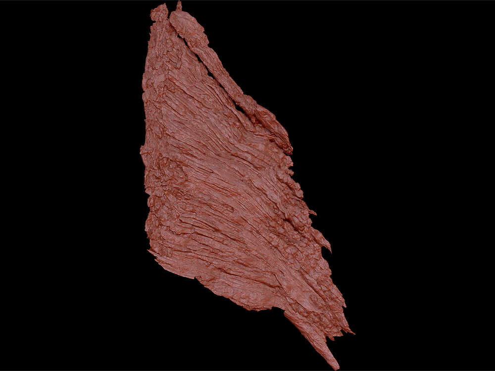 ZBrush-Document8690