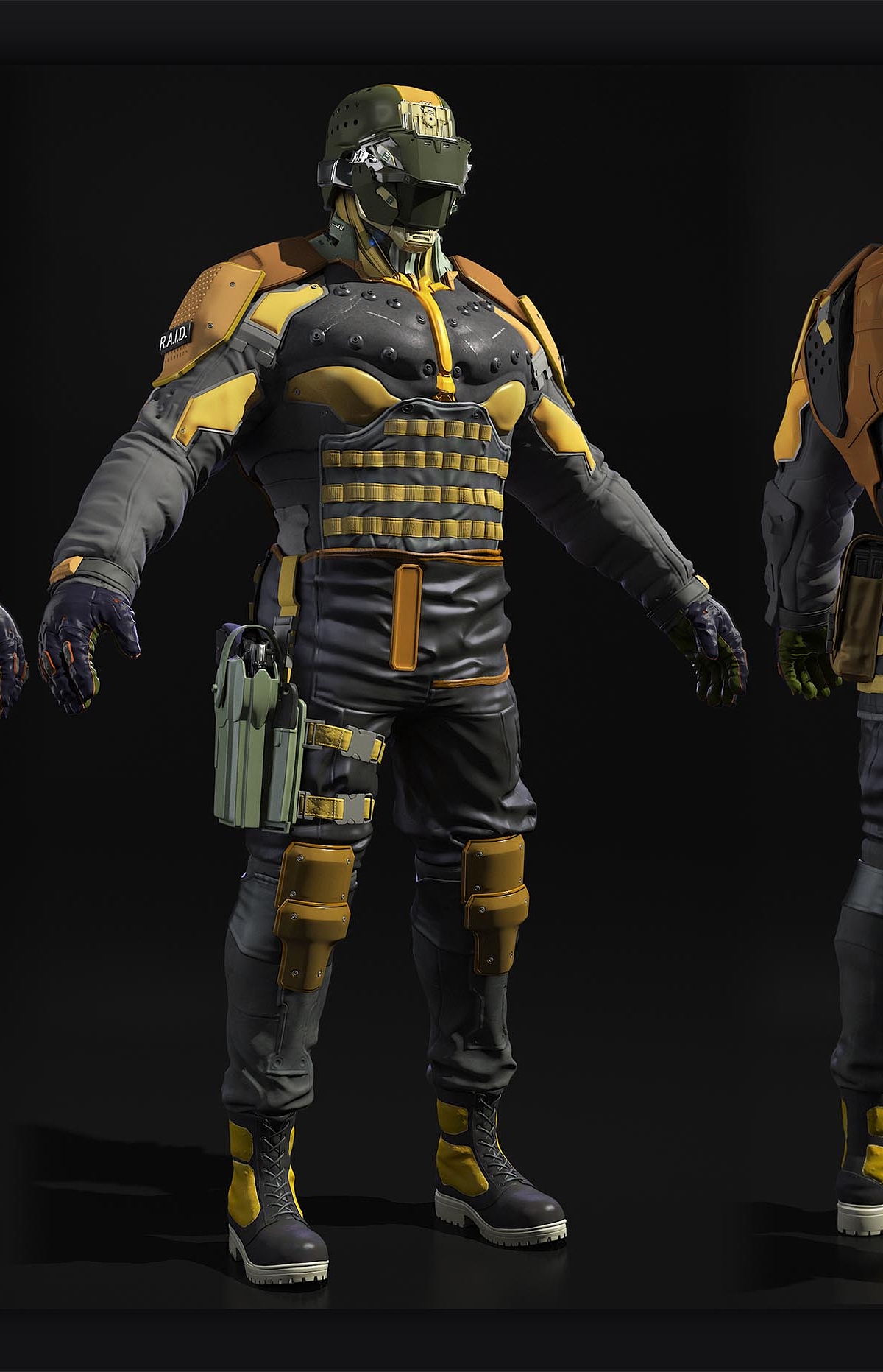 R.A.I.D.jpg