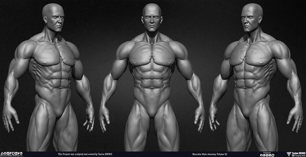 Muscular Male Anatomy Volume 2 3D Character sculpted by Yacine BRINIS 003