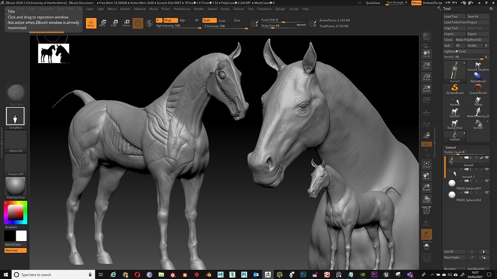 neil-gallagher-horse