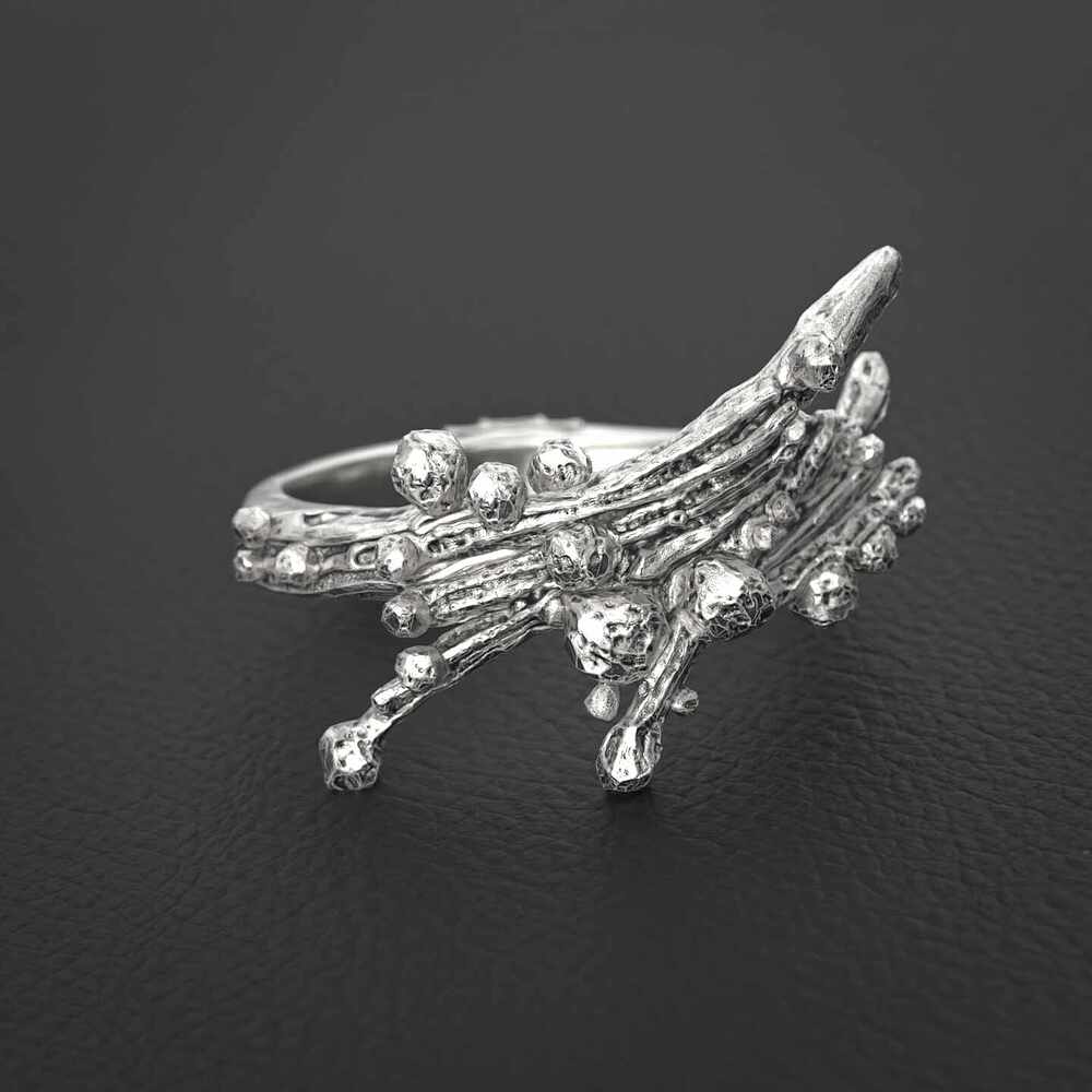 asteroid-v1-KS-3