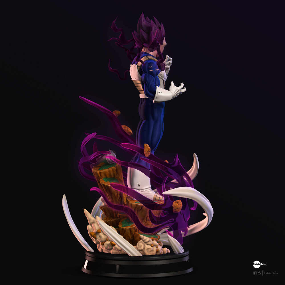 VEGETA_3H