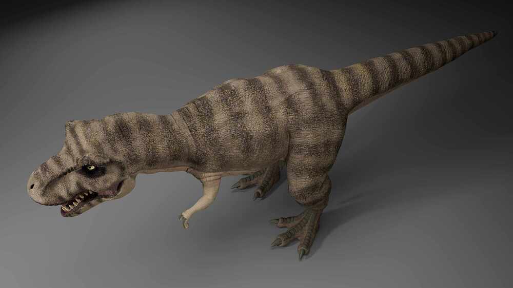 trex_4