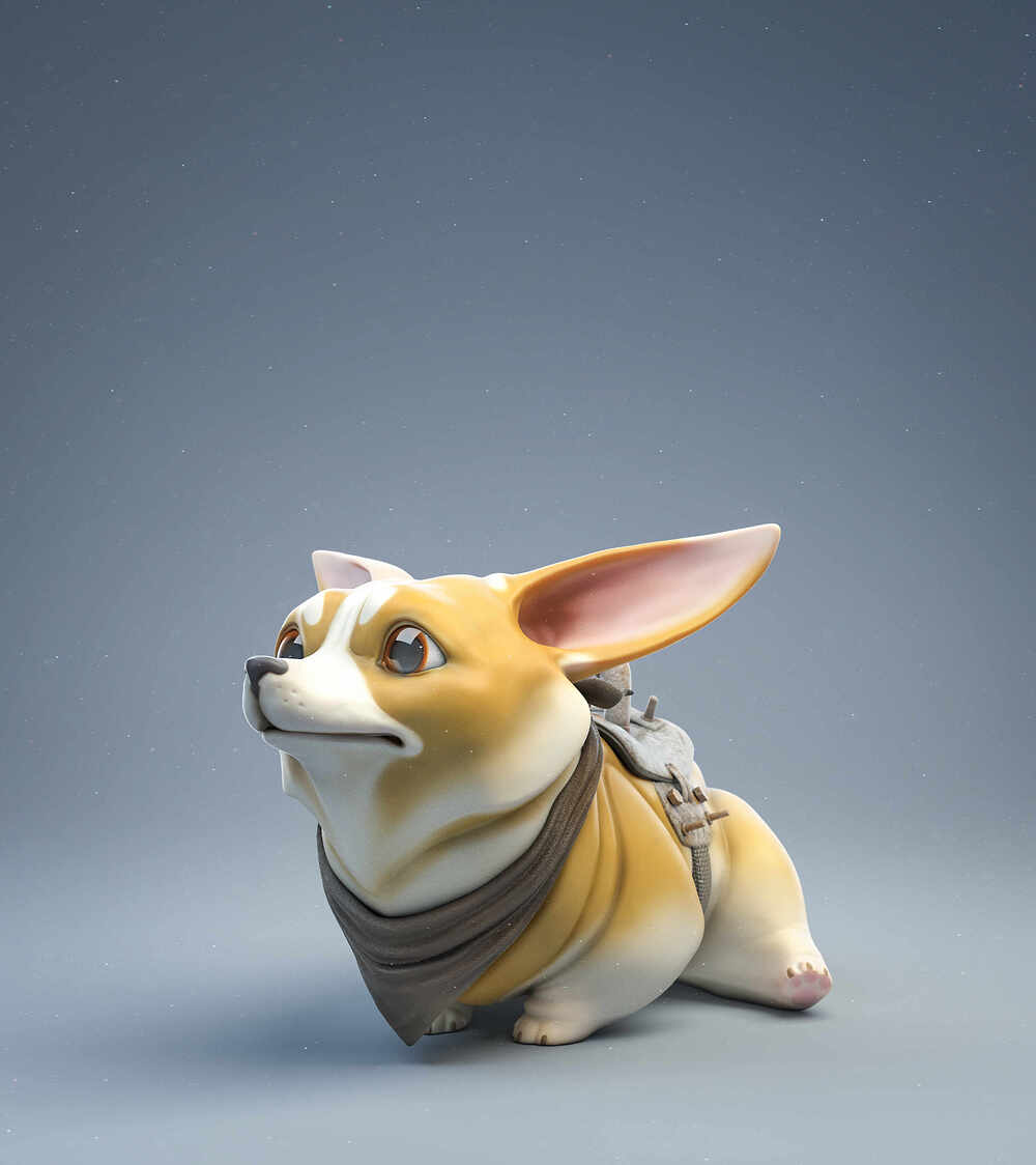 Corg_01