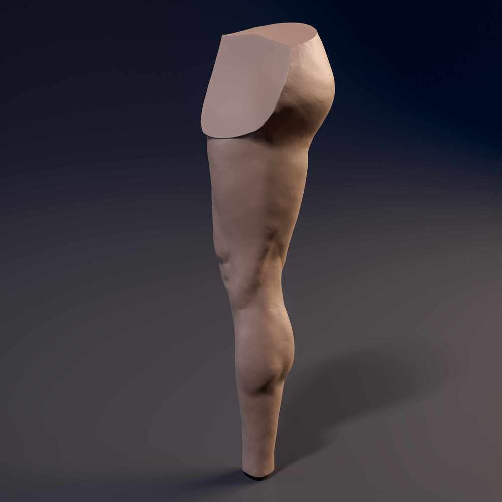Leg_Straith_Cam_05