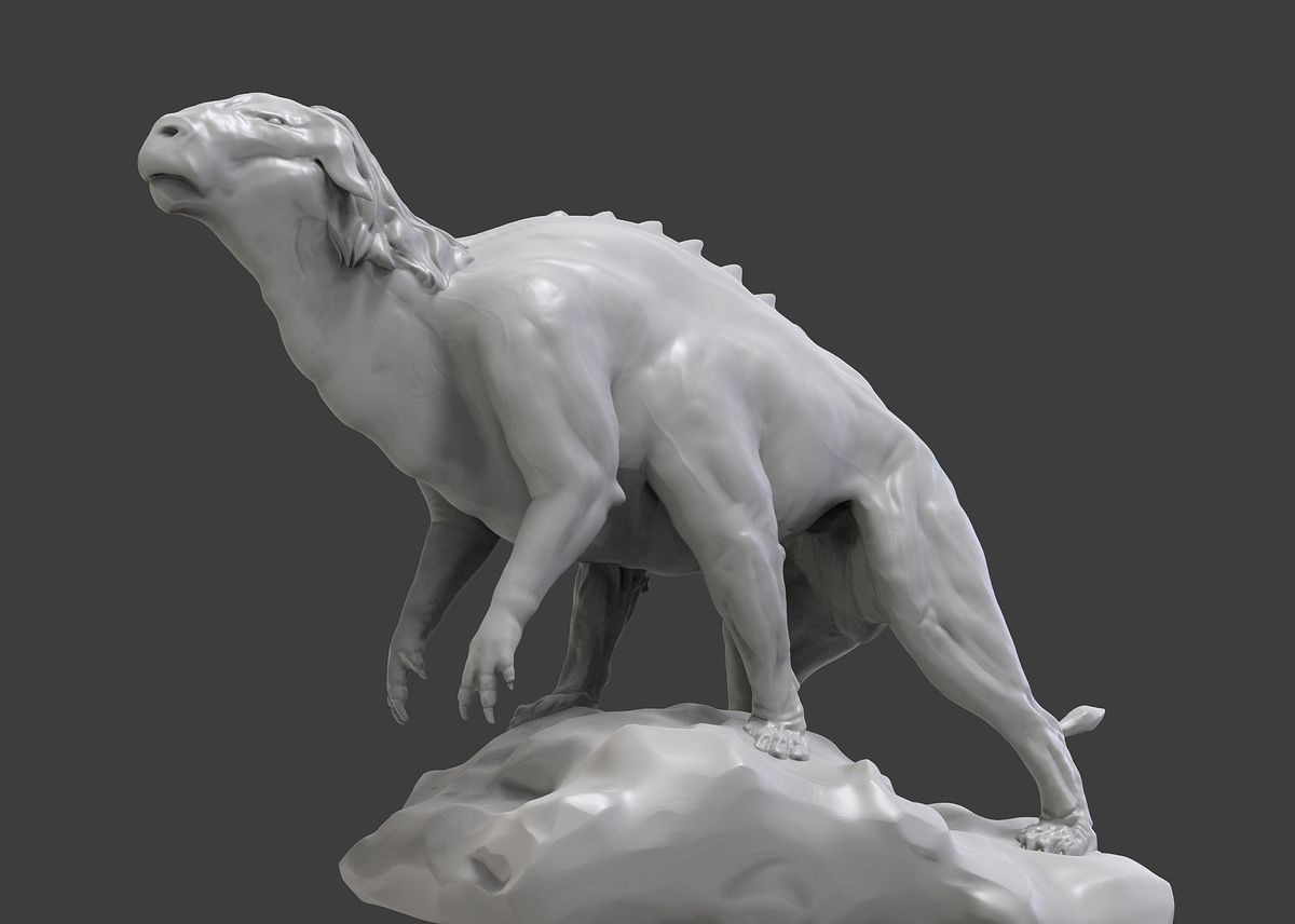 zebraturos_2