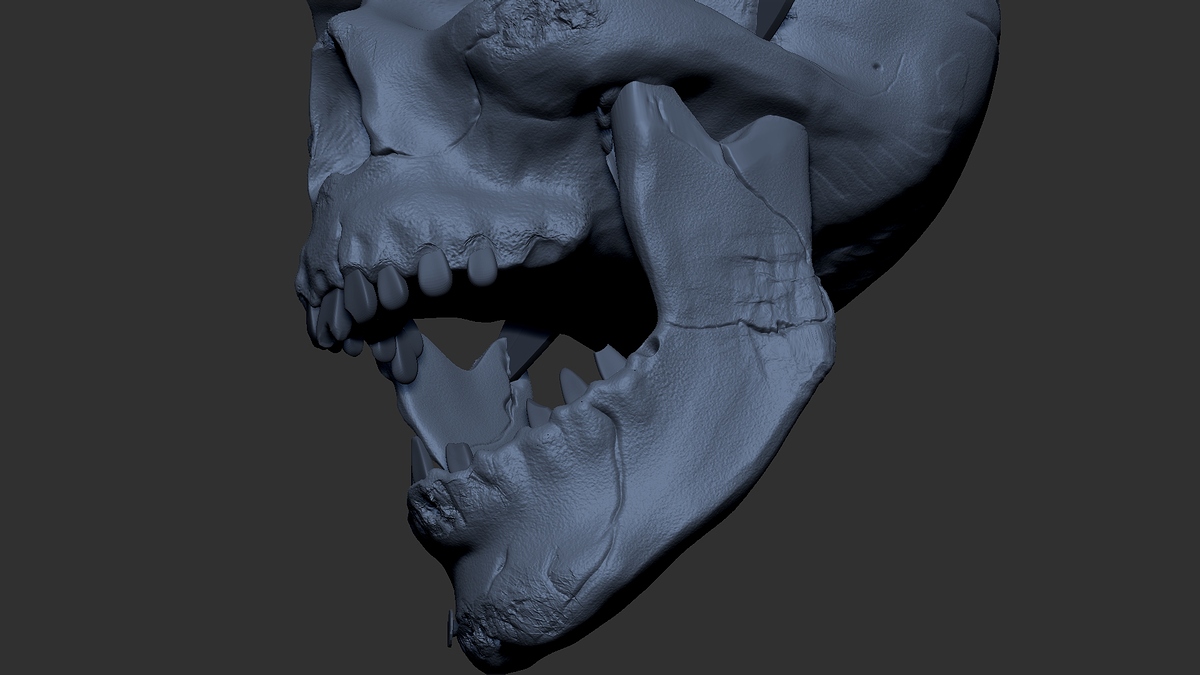 ZBrush%205