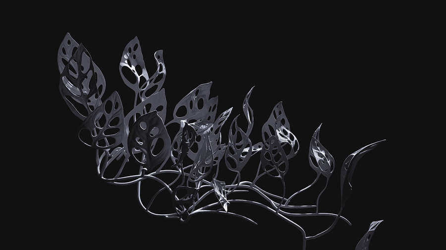 Monstera2