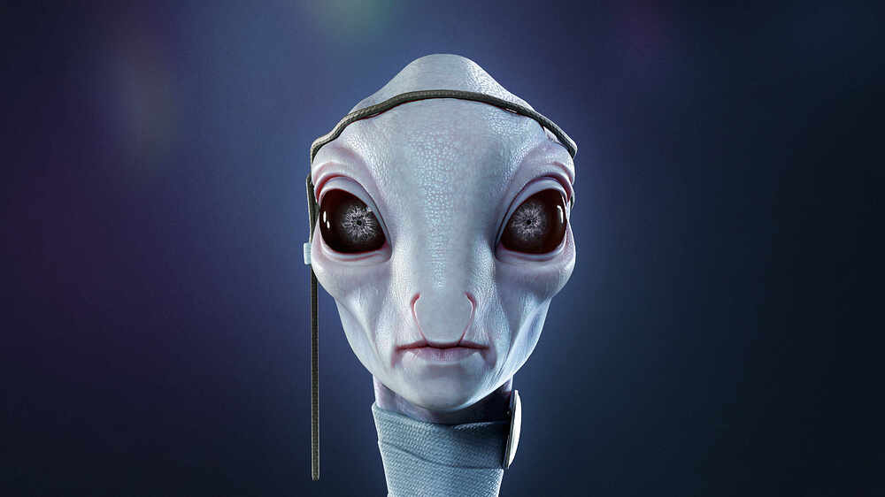 head_053 copy