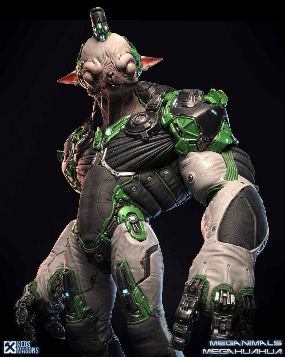 Megahuahua_10