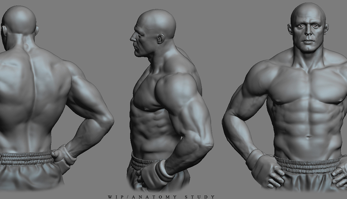 anatomy study2.jpg